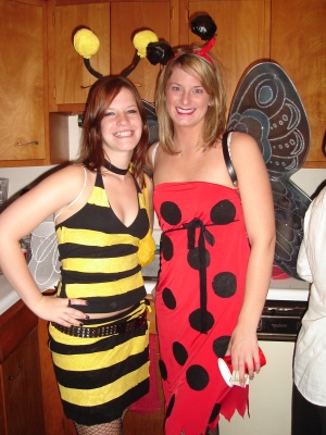 Lady Bug Bumble Bee DIY Halloween Costume